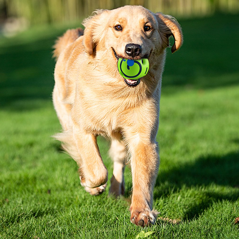 High Quality Wobble Wag Giggle Ball Interactive Dog Toy Pet Puppy Chew