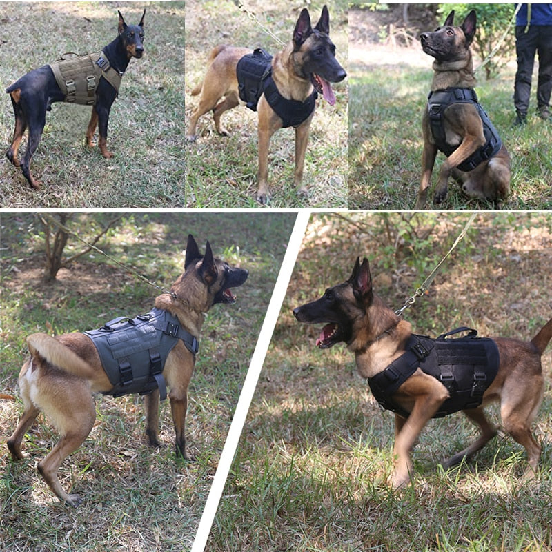 Tactical Harness Military for dogs