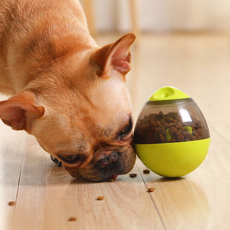 Dog Cat Toy Increases  IQ Treat Ball Toys Feed Bowl Tumbler Food  Puppy Training Balls